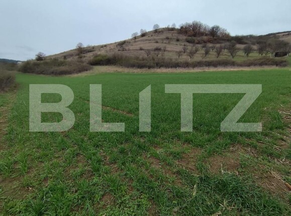 Teren de vânzare Vinţu de Jos - 168171TV | BLITZ Alba Iulia | Poza1