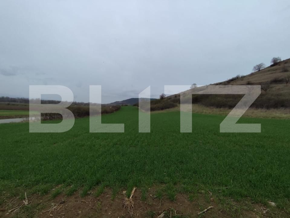 Teren de vânzare Vinţu de Jos - 168171TV | BLITZ Alba Iulia | Poza2