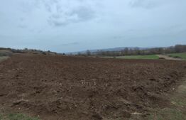 Teren extravilan, 9.700 mp, zona Parau lui Mihai 