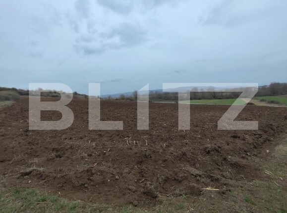 Teren de vânzare Vinţu de Jos - 168172TV | BLITZ Alba Iulia | Poza1