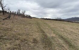 Livada zona Petresti cu panorama