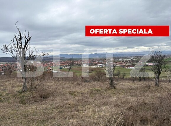 Teren de vânzare Petresti - 168193TV | BLITZ Alba Iulia | Poza2