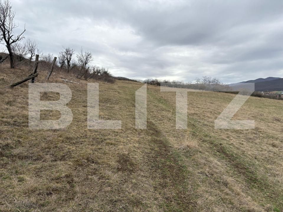 Teren de vânzare Petresti - 168193TV | BLITZ Alba Iulia | Poza1