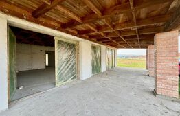 Casă spațioasă în Ciugud, la gri – confort și liniște aproape de oraș!