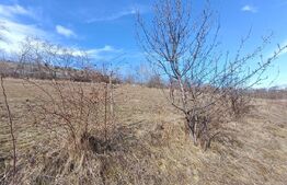 Teren extravilan pentru cabana  2300 mp apa curent pe Transapuseana 