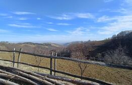 Teren extravilan pentru cabana  2300 mp apa curent pe Transapuseana 