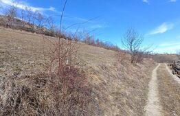 Teren extravilan pentru cabana  2300 mp apa curent pe Transapuseana 