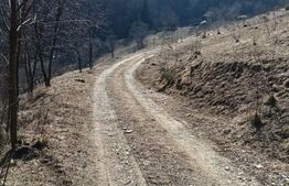 Teren extravilan pentru cabana  2300 mp apa curent pe Transapuseana 