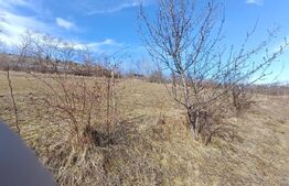 Teren extravilan pentru cabana  2300 mp apa curent pe Transapuseana 