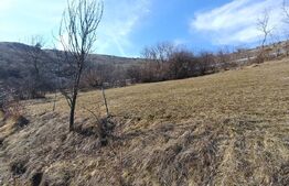 Teren extravilan pentru cabana  2300 mp apa curent pe Transapuseana 