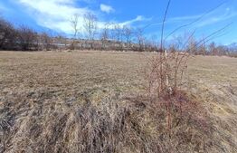 Teren extravilan pentru cabana  2300 mp apa curent pe Transapuseana 