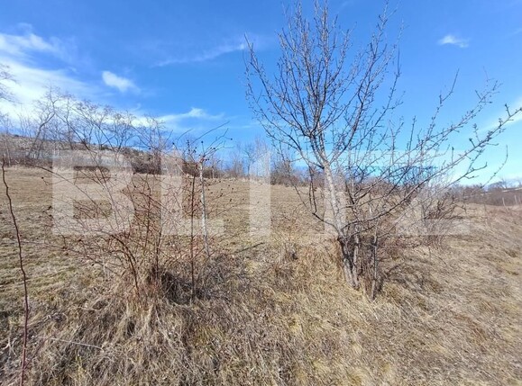 Teren de vânzare Exterior Nord - 168273TV | BLITZ Alba Iulia | Poza7