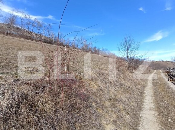 Teren de vânzare Exterior Nord - 168273TV | BLITZ Alba Iulia | Poza3