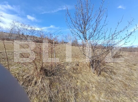 Teren de vânzare Exterior Nord - 168273TV | BLITZ Alba Iulia | Poza8