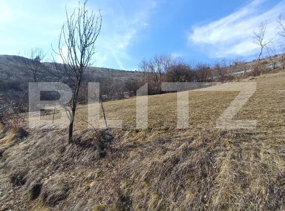 Teren de vânzare Exterior Nord - 168273TV | BLITZ Alba Iulia | Poza5