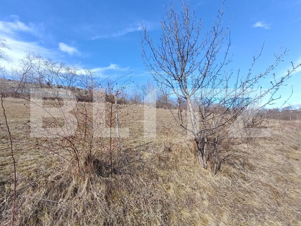 Teren de vânzare Exterior Nord - 168273TV | BLITZ Alba Iulia | Poza7