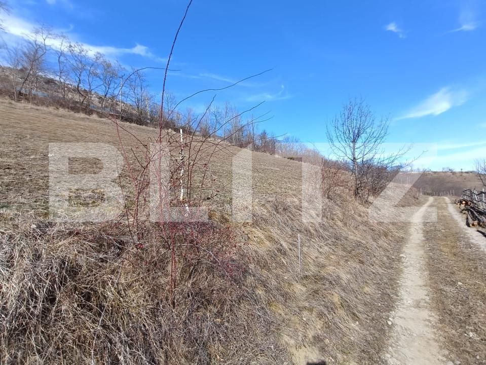 Teren de vânzare Exterior Nord - 168273TV | BLITZ Alba Iulia | Poza3