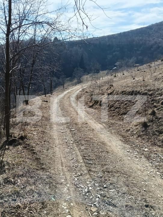 Teren de vânzare Exterior Nord - 168273TV | BLITZ Alba Iulia | Poza6