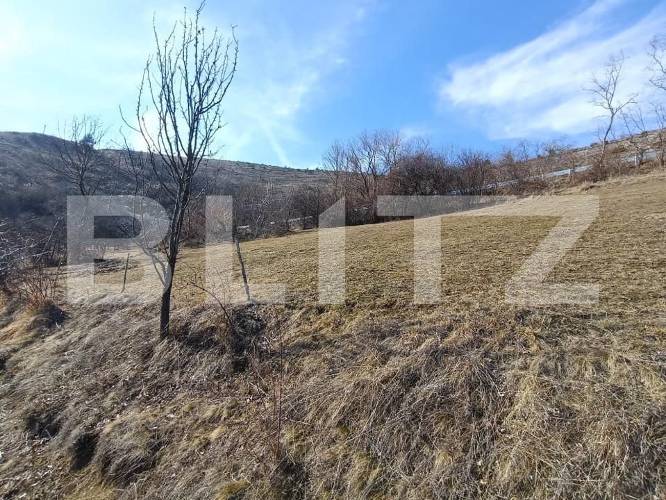 Teren de vânzare Exterior Nord - 168273TV | BLITZ Alba Iulia | Poza5