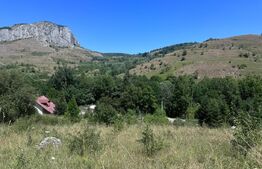 Teren extravilan,6000 mp,Valisoara