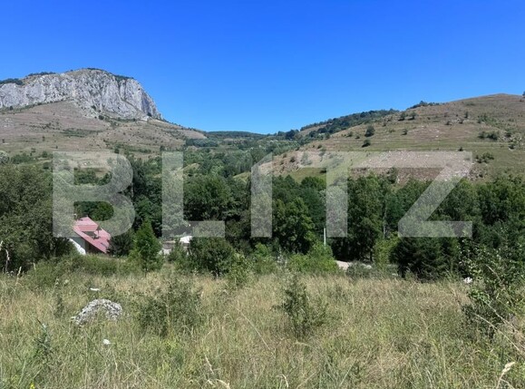 Teren de vânzare Aiudul de Sus - 168301TV | BLITZ Alba Iulia | Poza1