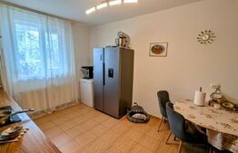 Casa tip duplex, cu 5 camere, 190 mp, zona centrala