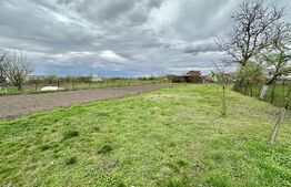 Casa individuala 3 camere,cu ANEXE,teren 2769 mp,TOTOI