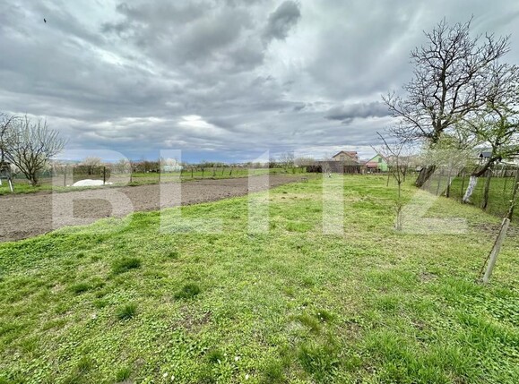 Casa de vânzare 3 camere Totoi - 168486CV | BLITZ Alba Iulia | Poza2