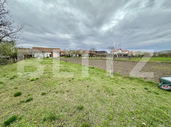 Casa de vânzare 3 camere Totoi - 168486CV | BLITZ Alba Iulia | Poza11