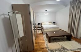 Reședință impunătoare, 6 camere, 430 mp și un teren de 730 mp, zona Cetate