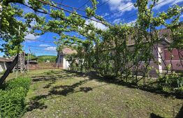 Casa de individuala, 4 camere,  teren 1900mp - Zona Unirea 