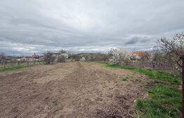 Casa de individuala, 4 camere,  teren 1900mp - Zona Unirea 