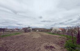 Casa de individuala, 4 camere,  teren 1900mp - Zona Unirea 