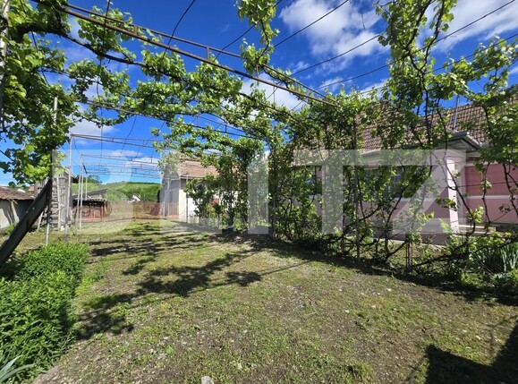 Casa de vânzare 3 camere Unirea - 168502CV | BLITZ Alba Iulia | Poza1