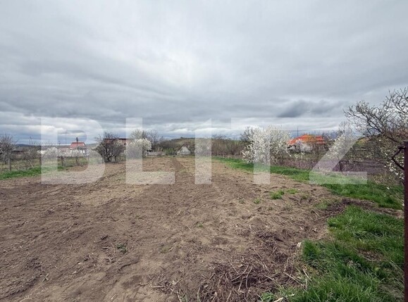 Casa de vânzare 3 camere Unirea - 168502CV | BLITZ Alba Iulia | Poza11