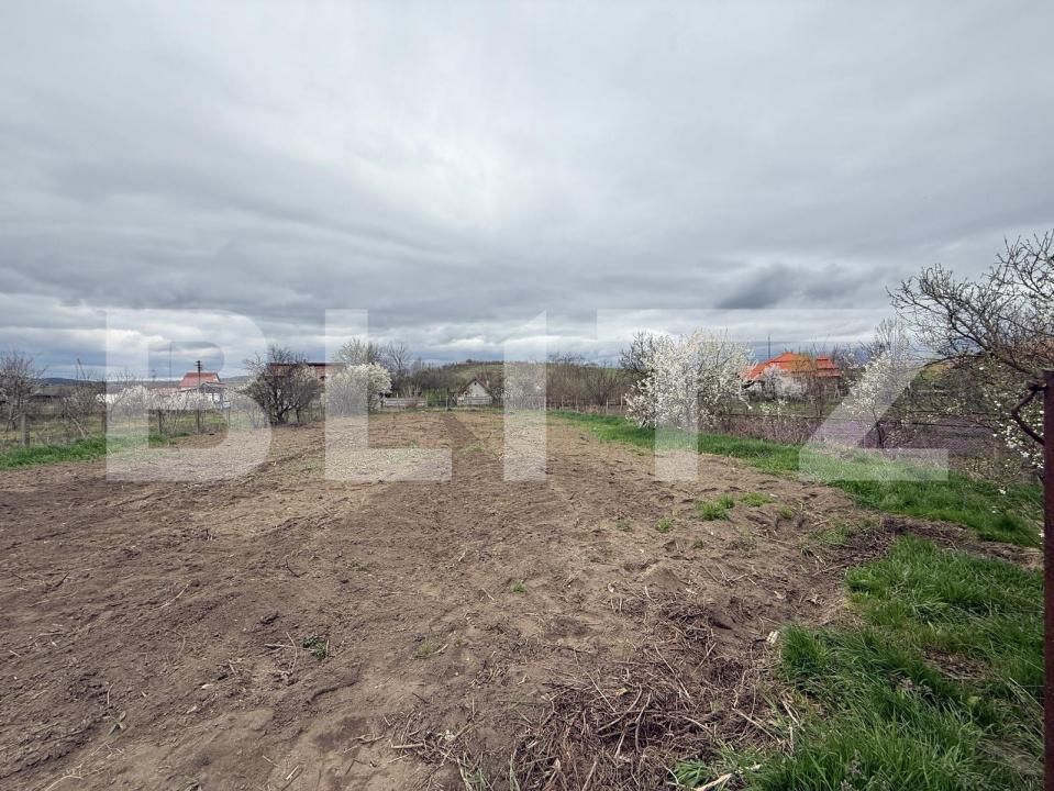 Casa de vânzare 3 camere Unirea - 168502CV | BLITZ Alba Iulia | Poza11