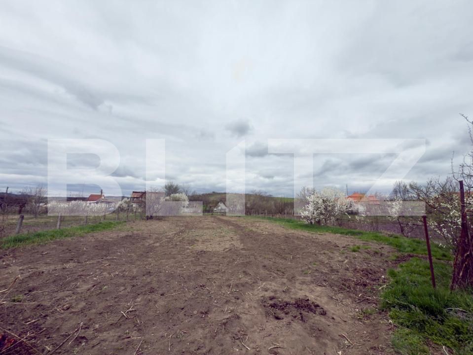 Casa de vânzare 3 camere Unirea - 168502CV | BLITZ Alba Iulia | Poza10