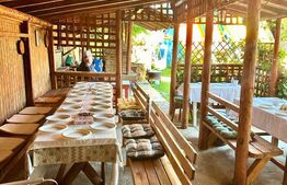 Casa 4 camere de inchiriat,curte cu foisor si gratar,Micesti