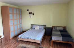 Casa 4 camere de inchiriat,curte cu foisor si gratar,Micesti