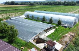 Teren extravilan 14.000 mp, Drâmbar – Ciugud | solarii, fotovoltaice