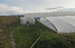 Teren extravilan 14.000 mp, Drâmbar – Ciugud | solarii, fotovoltaice și irigații