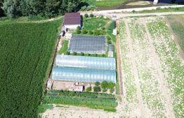 Teren extravilan 14.000 mp, Drâmbar – Ciugud | solarii, fotovoltaice