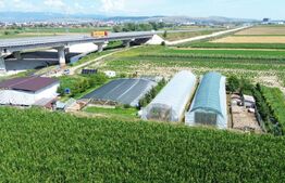 Teren extravilan 14.000 mp, Drâmbar – Ciugud | solarii, fotovoltaice