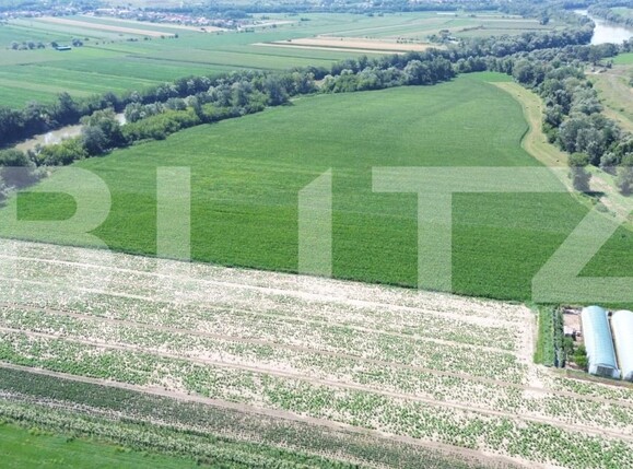 Teren de vânzare Periferie - 168703TV | BLITZ Alba Iulia | Poza14