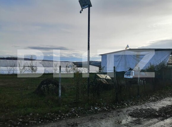 Teren de vânzare Periferie - 168703TV | BLITZ Alba Iulia | Poza1