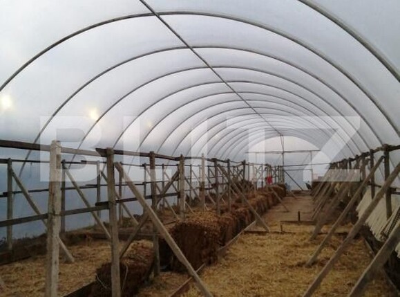 Teren de vânzare Periferie - 168703TV | BLITZ Alba Iulia | Poza1