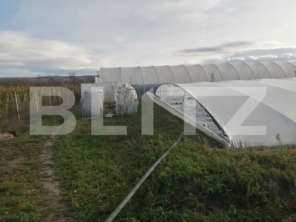Teren de vânzare Periferie - 168703TV | BLITZ Alba Iulia | Poza2