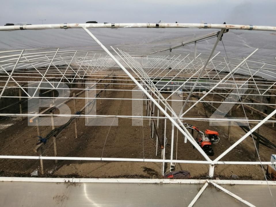 Teren de vânzare Periferie - 168703TV | BLITZ Alba Iulia | Poza4