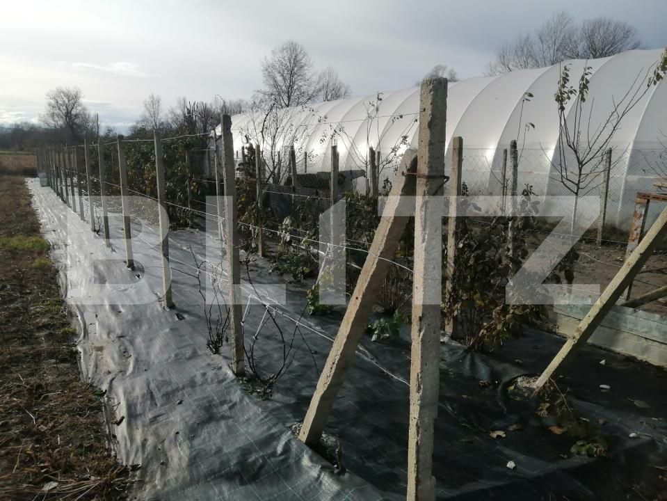 Teren de vânzare Periferie - 168703TV | BLITZ Alba Iulia | Poza5