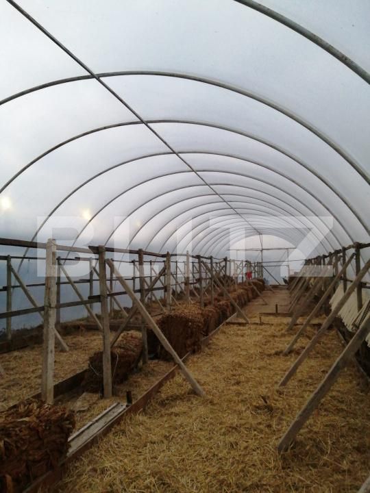 Teren de vânzare Periferie - 168703TV | BLITZ Alba Iulia | Poza7